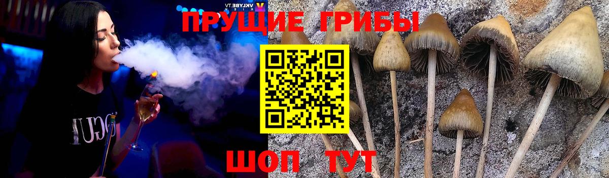 Ирбит  Галлюциногенные грибы ЛСД  Вход с VPN  Псилоцибиновые грибы ЛСД 